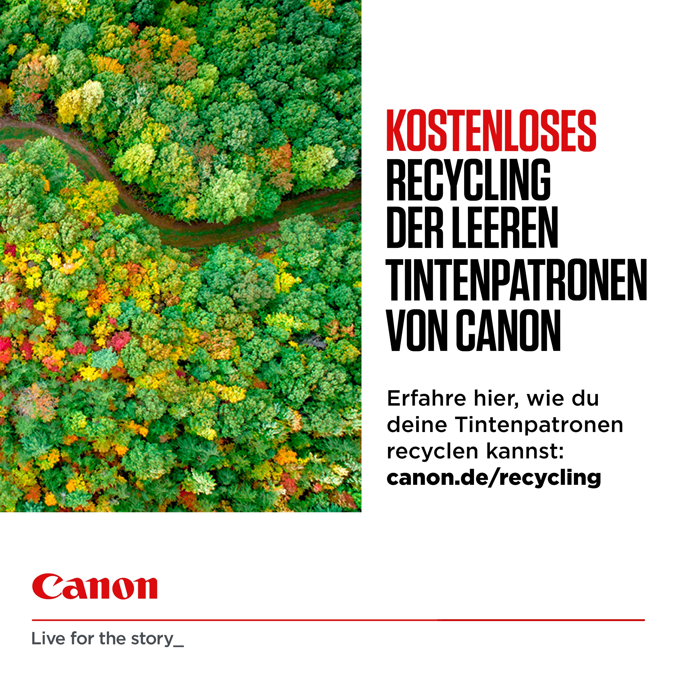 CANON CL-541xl Ink Cartridge color high capacity 400 pages