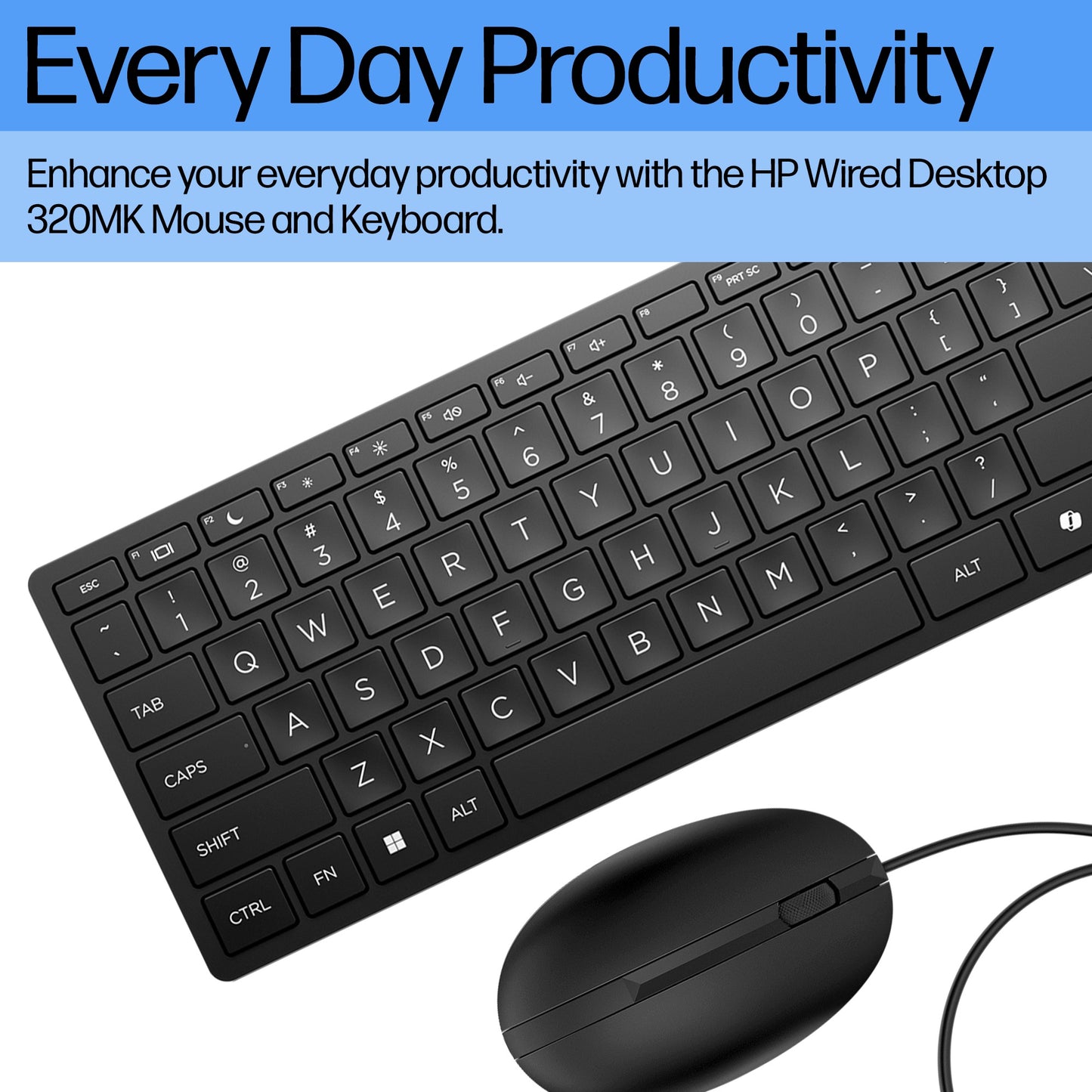 HP INC. 320MK Wired Keyboard and Mouse - US-int